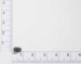 Кнопка 2-pin  4x6mm L=0.5 mm h=2mm SMD №53a