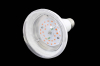 Светодиодная фитолампа ЭРА FITO-16W-RB-E27-K красно-синего спектра