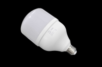 Лампа светодиодная Эра LED smd Power 30W-6500-E27