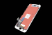 20259 Дисплей для Apple IPhone 7 white (класс AAA, HANCAI)