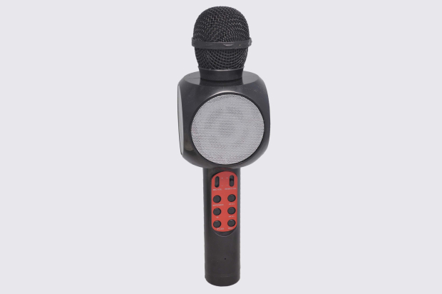 20270 Микрофон-колонка WS1816 Bluetooth+FM+SD micro+USB+AUX