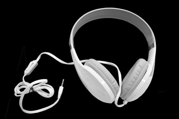 17398 Наушники JBL E2136 (с микрофоном и кнопной ответа) белые